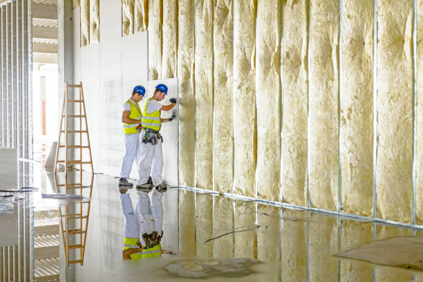 Best Types of Insulation in Aledo, IL